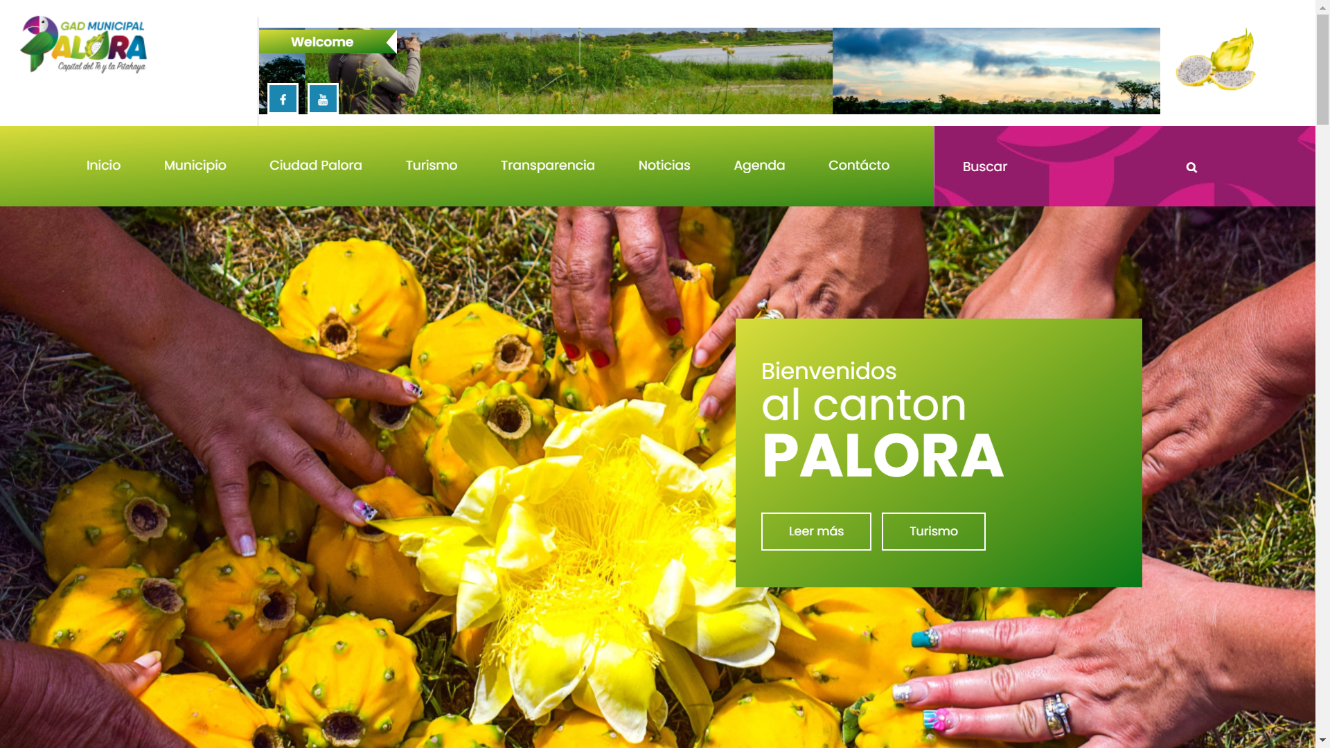 Sitio web Palora